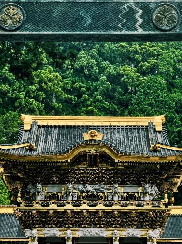 Explore Nikko's Hidden Gem: Toshogu Shrine