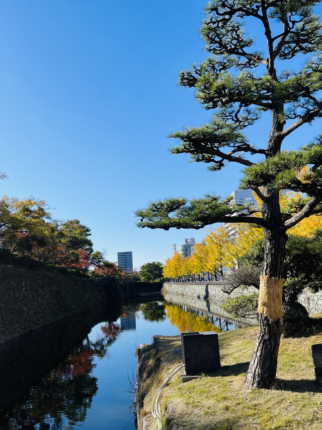 日本·和歌山城。