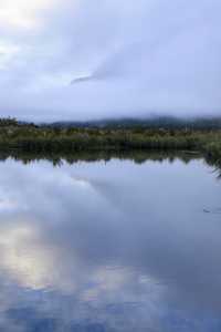 蒂阿瑙—米爾福德峽灣沿途的治癒系風景