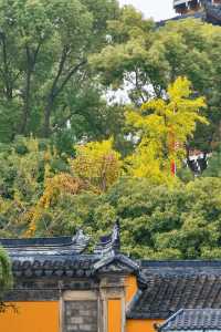 雨歇秋韻滿姑蘇——報恩寺紀行