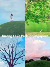 Jurong Lake Park in Singapore is Stunning 🇸🇬