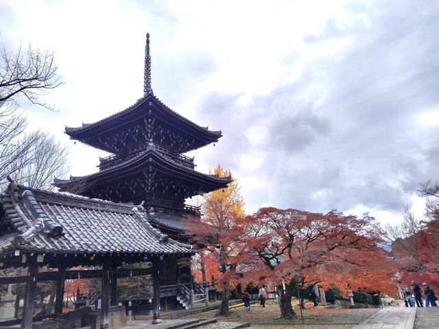 京都真如堂！我最喜愛的賞楓景點