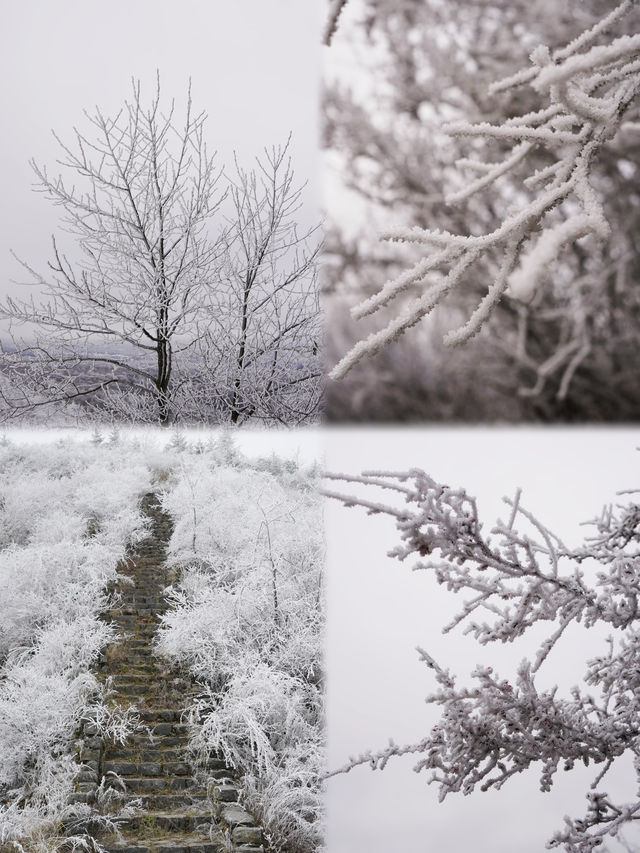 石棉冰雪之旅，兩天一夜解鎖冬季新玩法