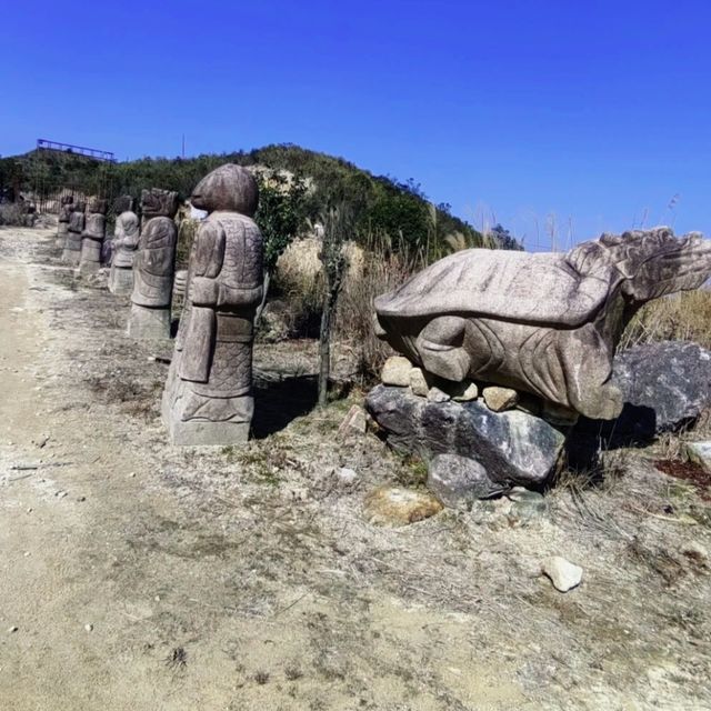 想體驗不一樣的旅行嗎？來大芹山吧！