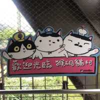 Cat Village - Houtong near Taipei 🐈 🐱 🐈‍⬛