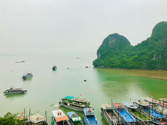 A unique glimpse into a world of dramatic cliffs 🇻🇳