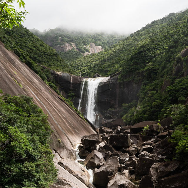 Emerald Isle of the Gods: Yakushima's Pristine Paradise