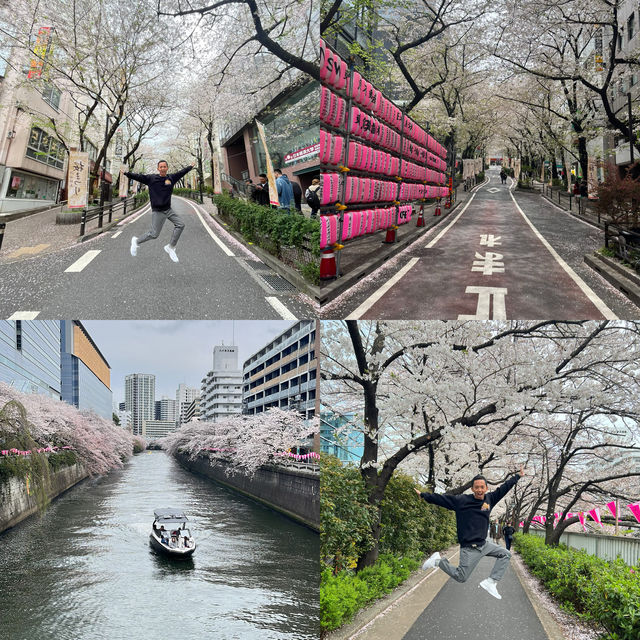 🌸 A complete day tour to Tokyo's iconic spot 🌸 