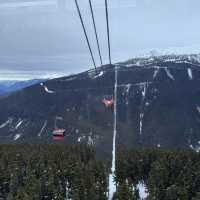 【Whistler Mountain in vancouver】🇨🇦    世界的なスキー⛷️の地でただの観光！？