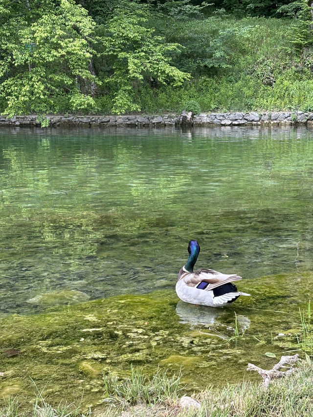 世界上最美的湖泊之一—十六湖國家公園🤍