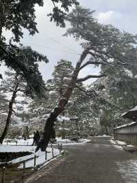 石川　金沢、兼六園の雪景色❄️