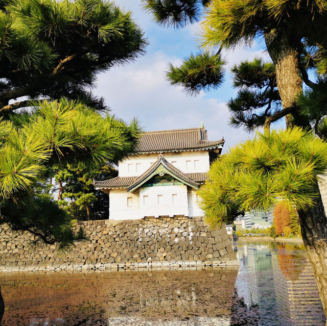 Royal History and Timeless Beauty: My Visit to Tokyo Imperial Palace!