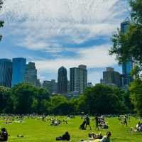 Summer at Central Park, New York 💚