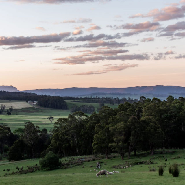 Tasmanian Wilderness (Tasmania)