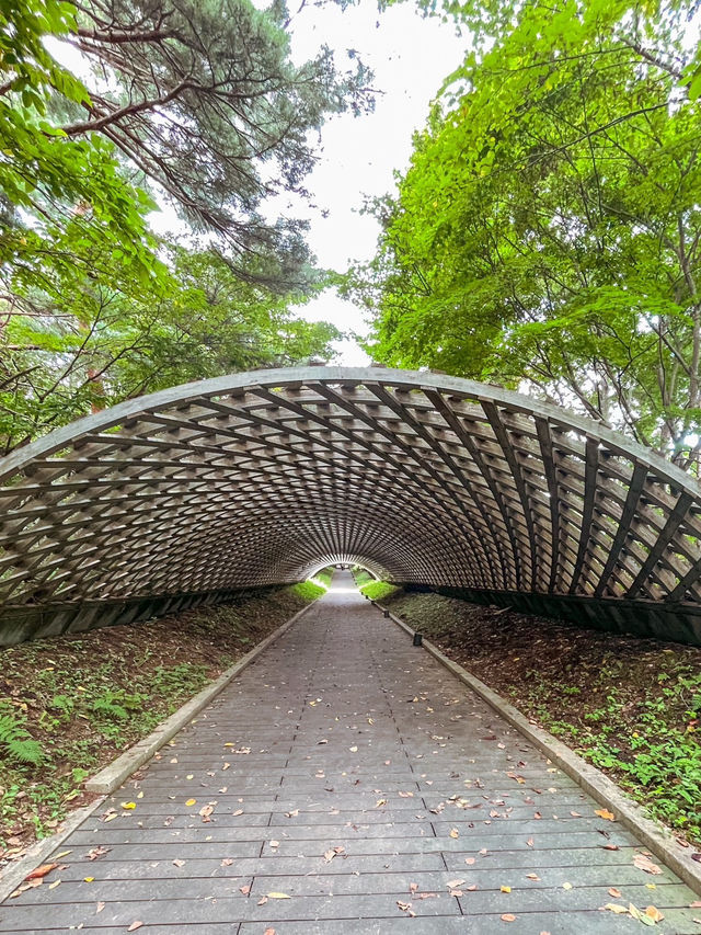 【青森】大自然に囲まれたアートな空間