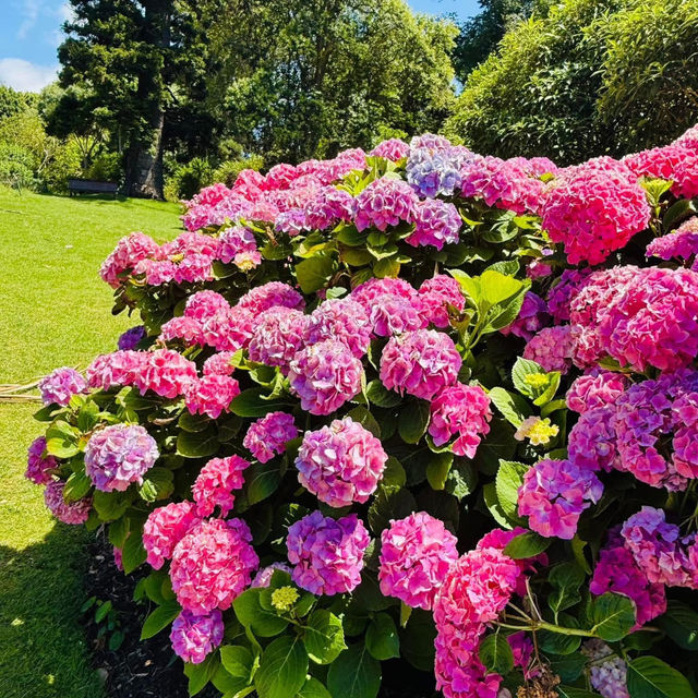 A Summer Escape: Melbourne’s Royal Botanic Gardens