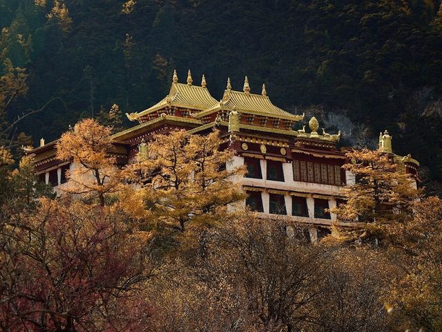 Best Autumn Viewing Experience 3/3 [Beyond Chonggu Grassland, Yading Nature Reserve]