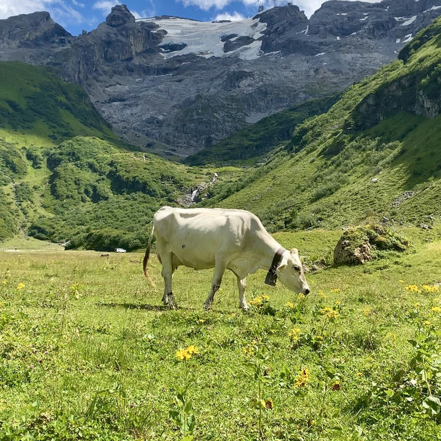 Discovering Engelberg’s Natural Beauty 🏔️