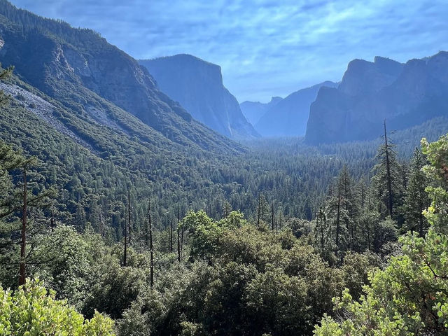 Yosemite National Park 🇺🇸