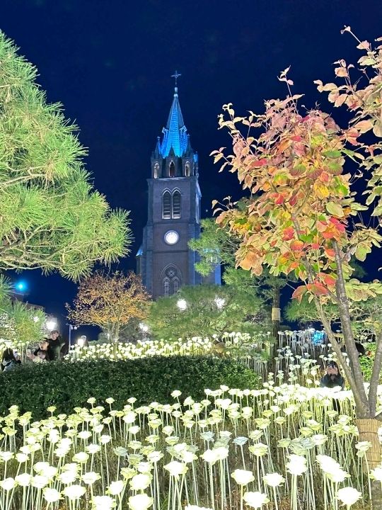 Myeongdong Cathedral Covered with Blossoms🌸