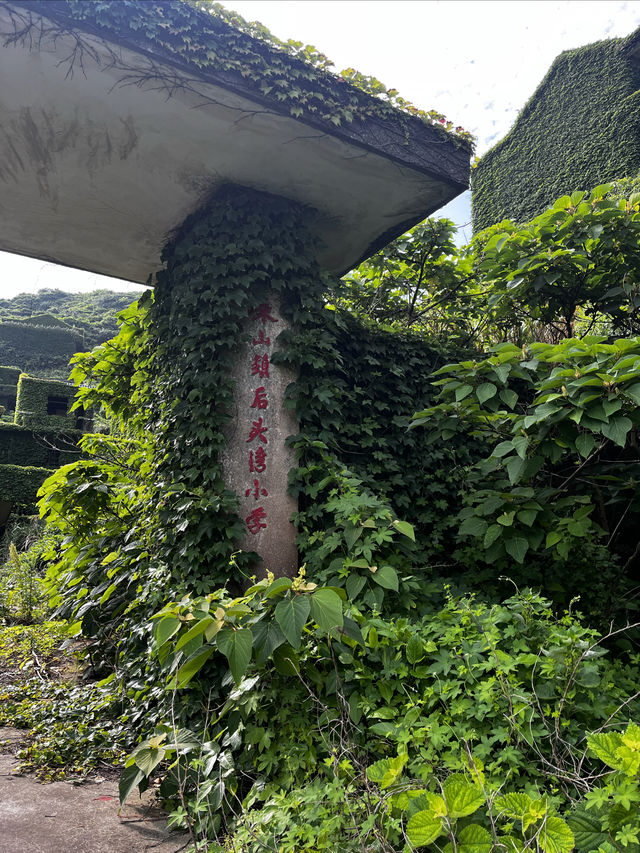 嵊山島之旅：追逐日出的軌跡，邂逅綠野仙蹤。