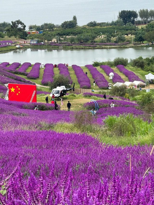 昆明——不只有海晏村｜陽宗海。