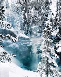 Winter Wonderland: 5-Day Yellowstone National Park Tour