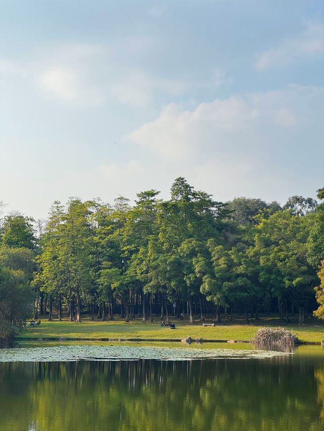 不是歐洲，來東莞一定要去松山湖啊