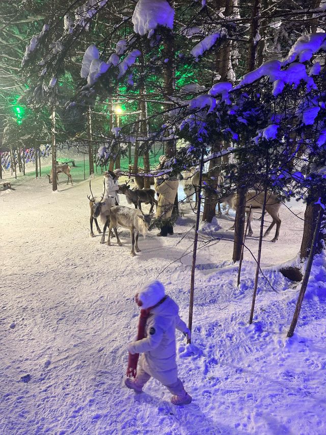 亞力布雪鄉旅遊攻略