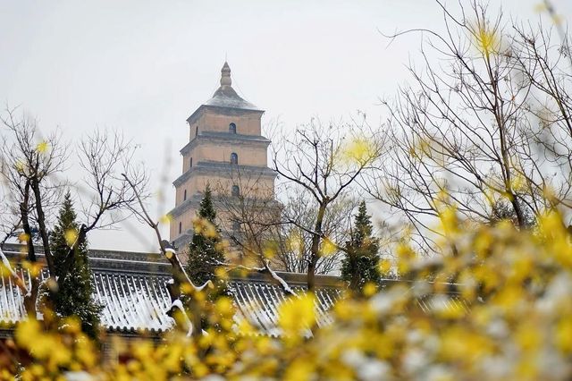 西安必遊之地！大雁塔詳盡旅遊攻略