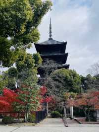 日本·京都