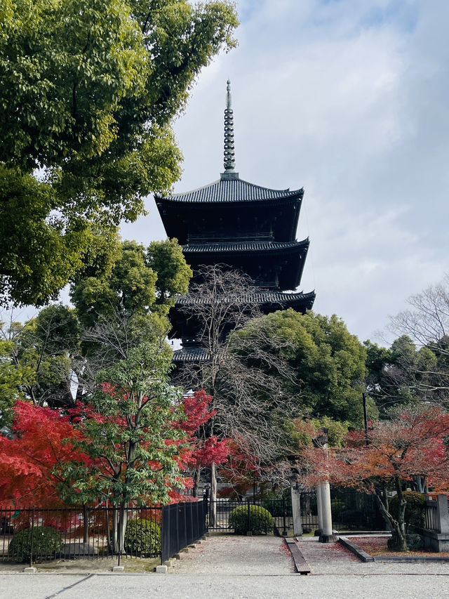 日本·京都