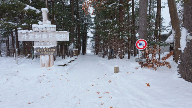 滿足了對北海道的一切想象❄️