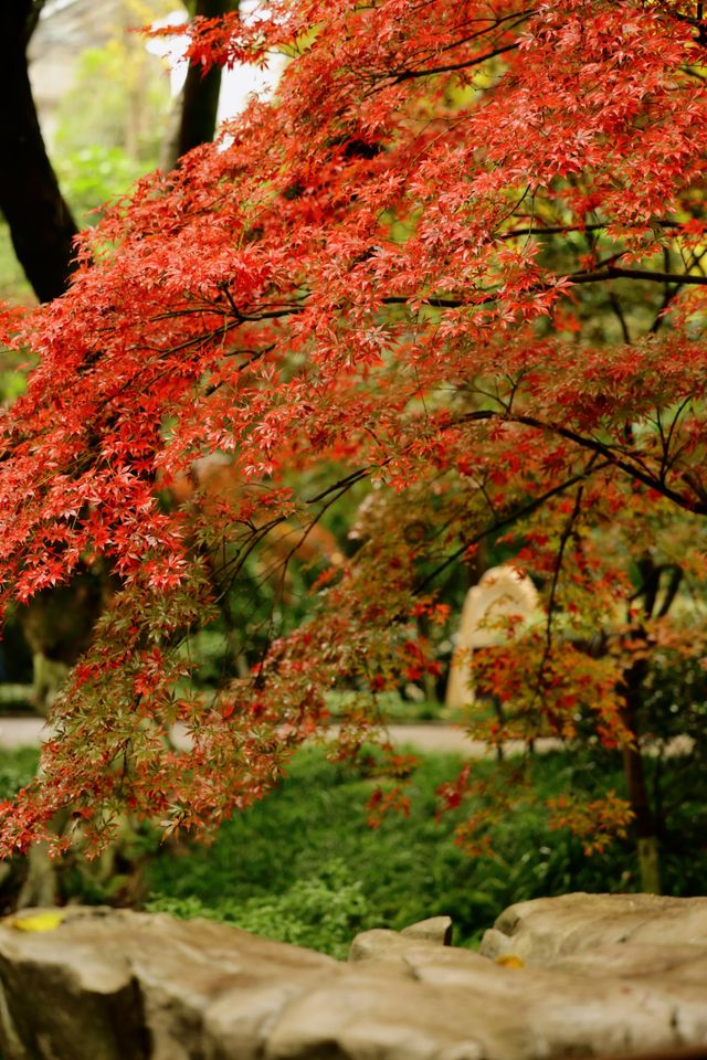 重慶中華美德公園的