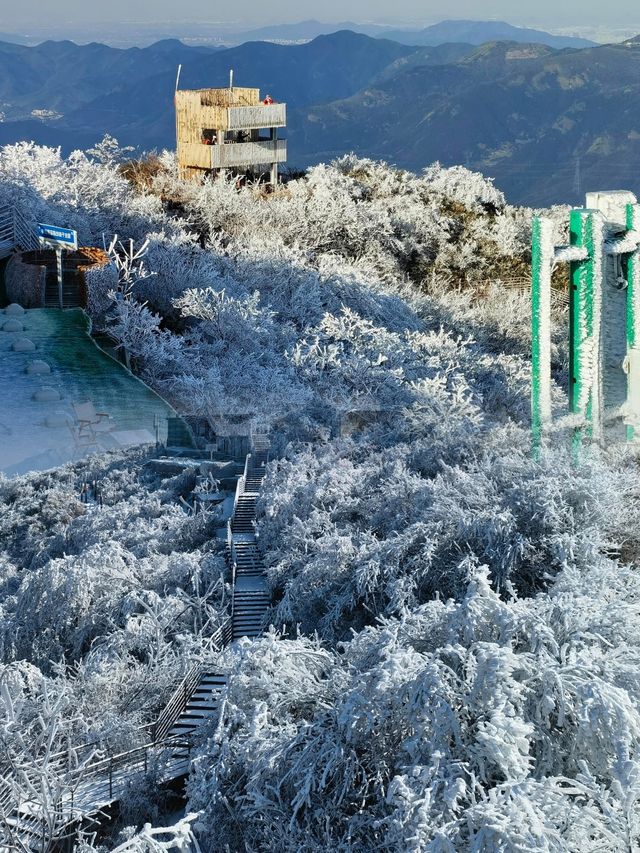 雪後鸬鳥山：杭州近郊的冰雪童話世界