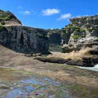 Muriwai Beach