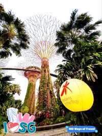 Exploring the Enchantment of Gardens by the Bay