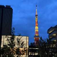 A city of endless possibilities - Tokyo 