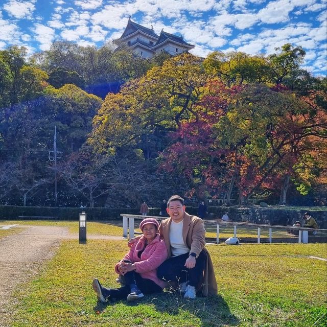 wakayama castle