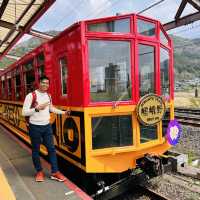 Blossoms on Rails: A Magical Ride on the Sagano Romantic Train!