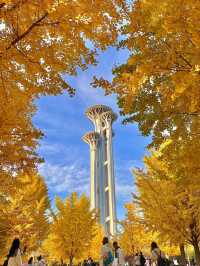 Beijing Olympic Park: A Modern Marvel of Sports and Architecture 