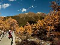 Best Autumn Viewing Experience 2/3 [Xiannairi Snow Mountain, Yading Nature Reserve]