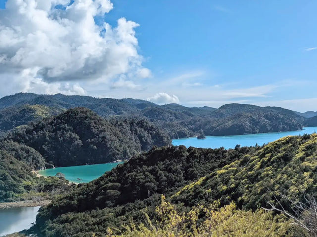 A Tranquil Adventure in Abel Tasman National Park