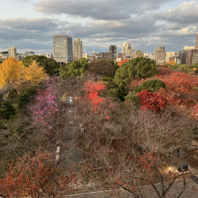 A Magical Fukuoka Experience: A Blend of History, Nature, and Festive Lights