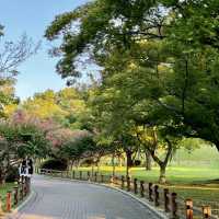 GYEONGJU'S HIDDEN TREASURES | THE ROYAL TOMBS OF THE SILLA DYNASTY 