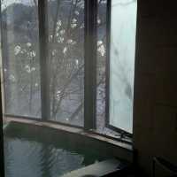 Affordable Tranquility: My Onsen Escape at Suigan Hokkaido Hotel