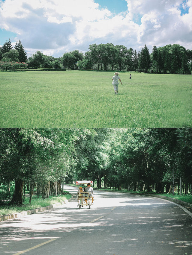 福州森系荷花池，夏日治癒風景