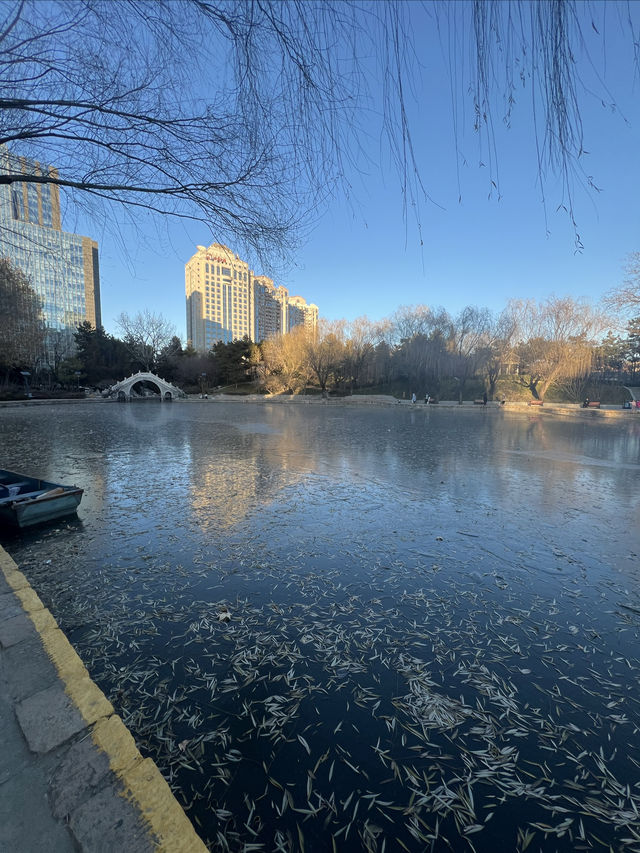 鬧中取靜的休閒之所，團結湖公園