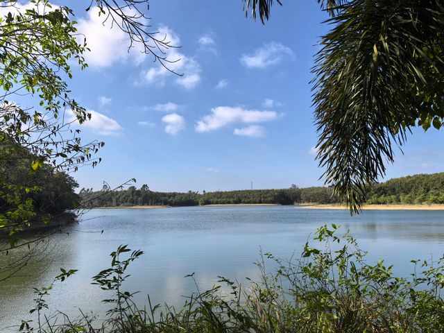 雲月湖風光