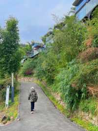 住進電影裏的森林民宿